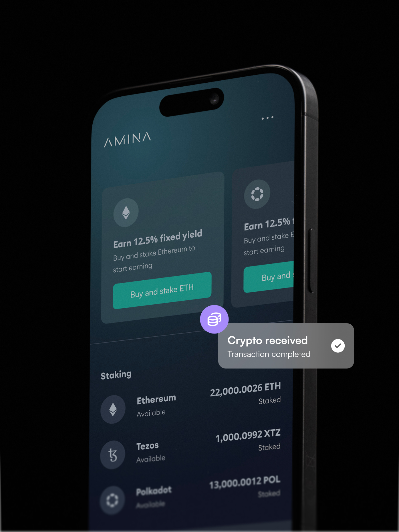 Amina Group app
