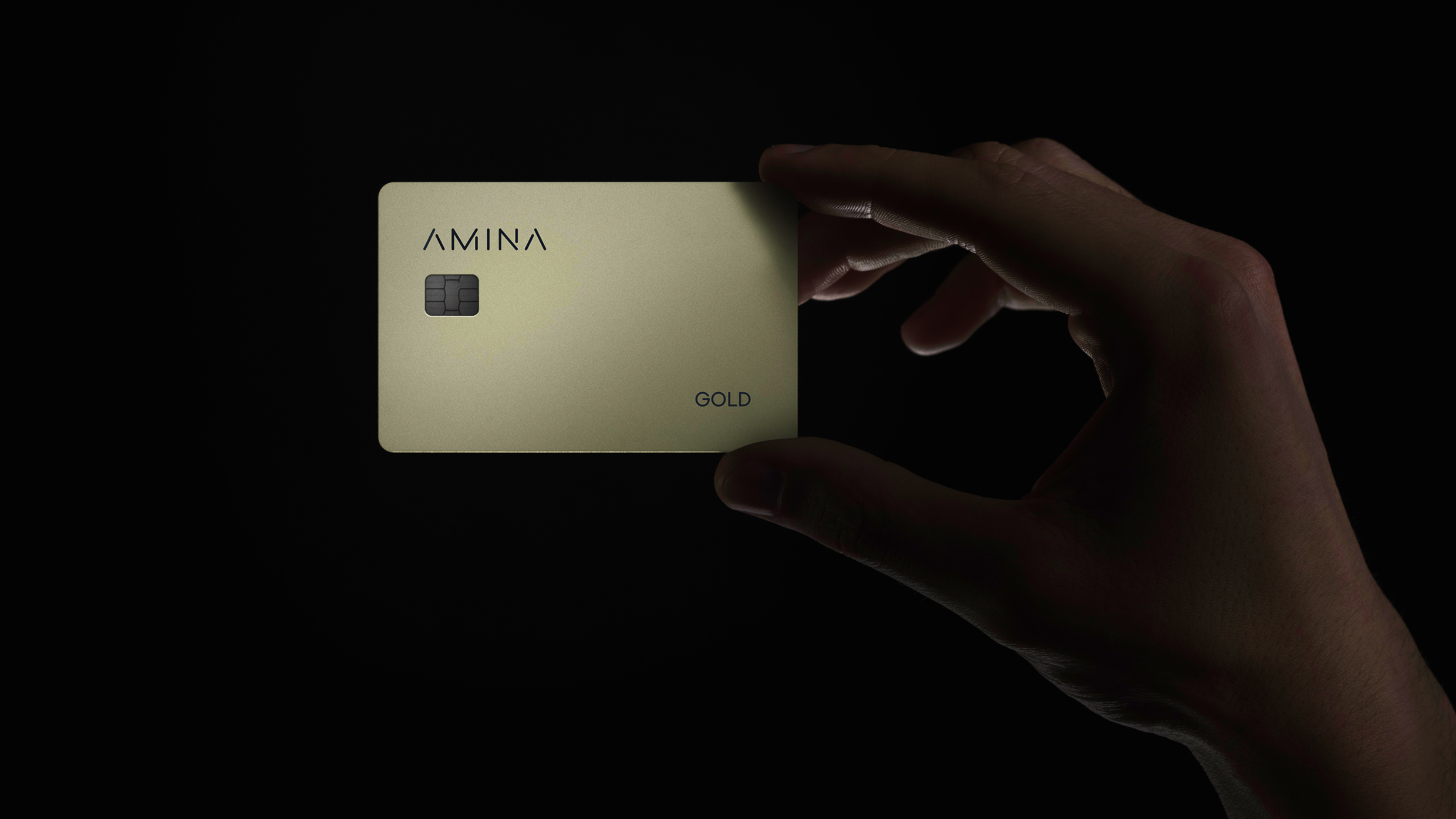 Amina Group gold card