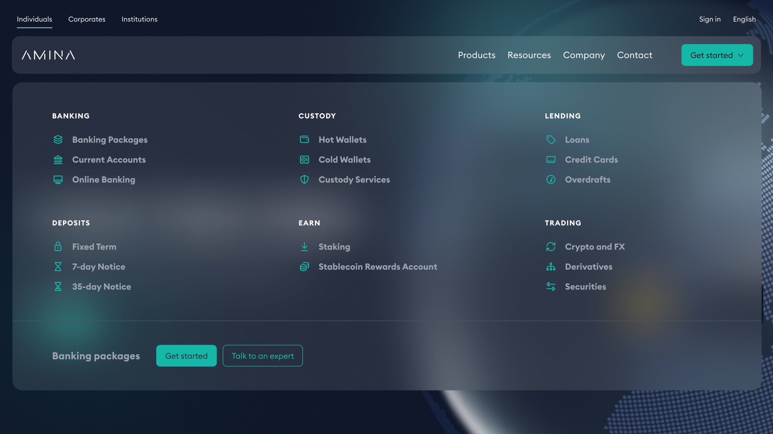 Amina Group website navigation