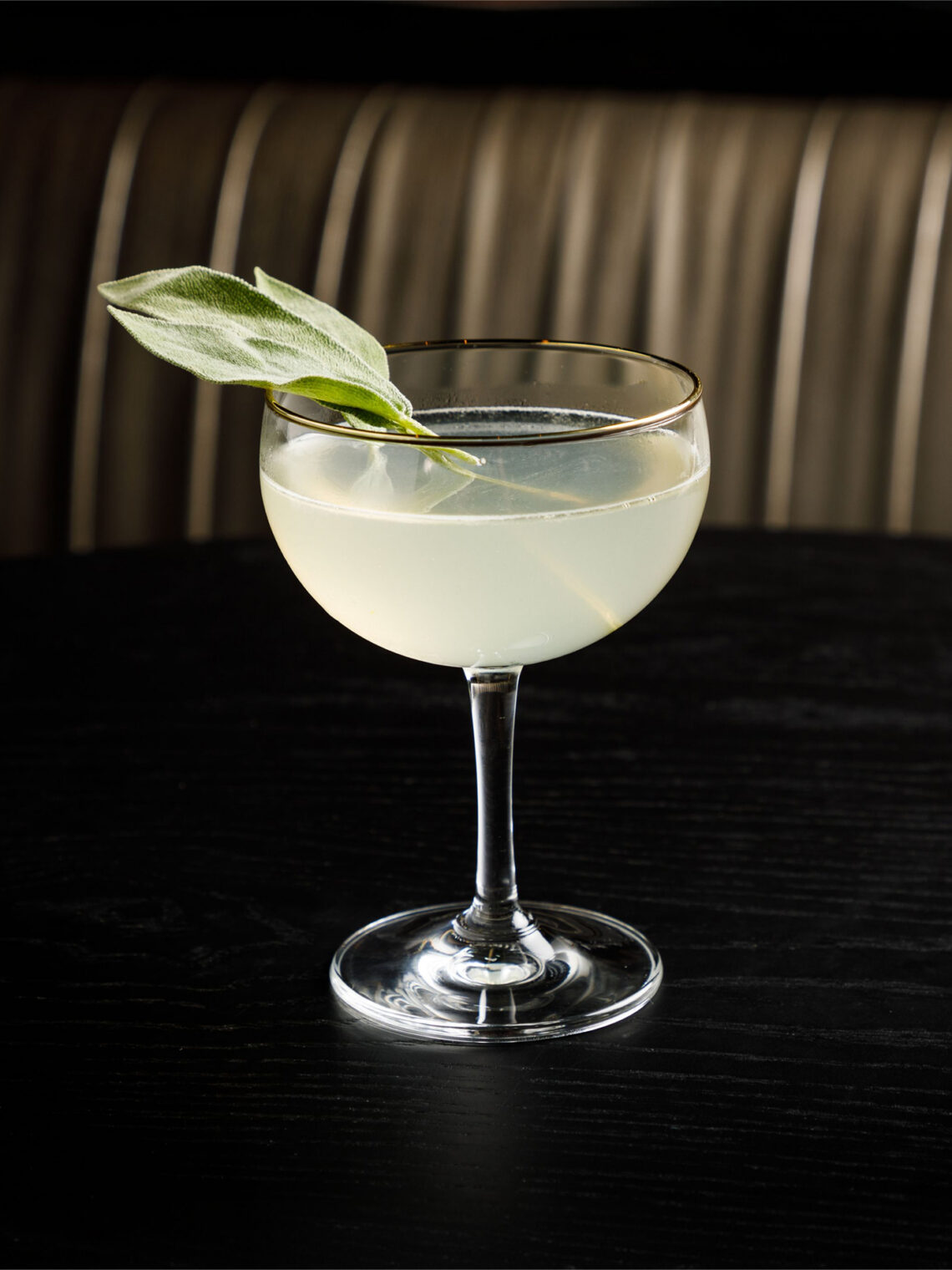 Elegant coupe glass filled with a clear cocktail and garnished with a fresh sage leaf.