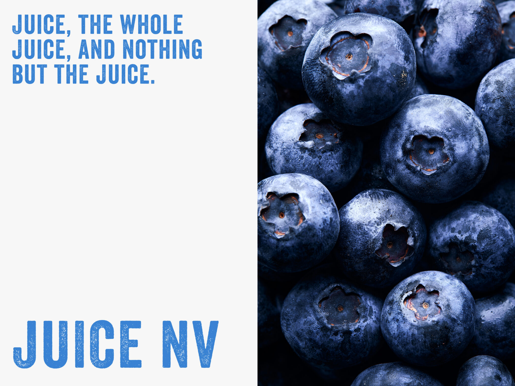 Macro close-up view of fresh blueberries beside text promoting pure healthy juice.